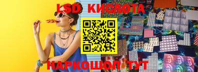 стафф Бийск