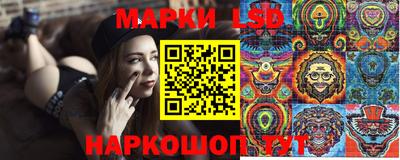 стафф Бийск
